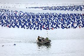 Marine Ranch