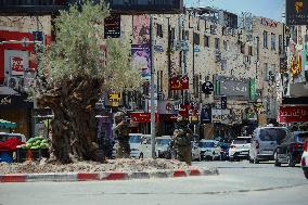 Israeli Forces Raid Financial Sites in Jenin - Palestine