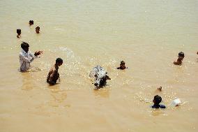Preparing For Eid Al Adha - Pakistan