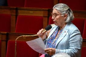 Questions to the government at the National Assembly in Paris FA
