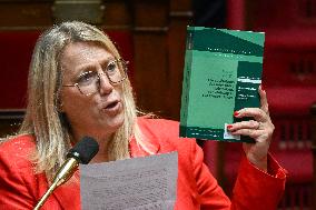 Questions to the government at the National Assembly in Paris FA