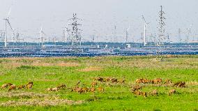PV Energy Industry