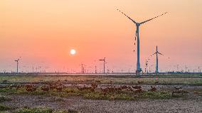 PV Energy Industry