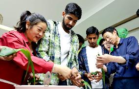 Foreigners Experience China Dragon Boat Festival