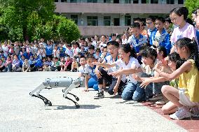 AI Education