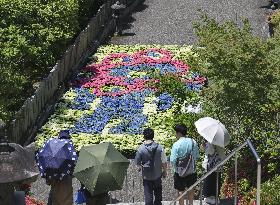 Hydrangea art featuring Osaka expo mascot