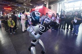 UNITREE G1 Humanoid Robot Boxing Match