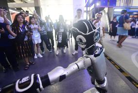 UNITREE G1 Humanoid Robot Boxing Match