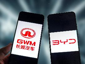 Illustration GWM BYD