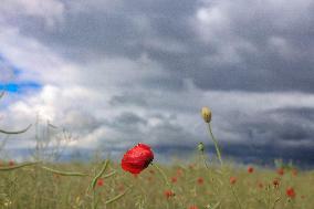 Clouds in Odesa