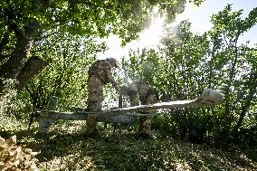 Aerial reconnaissance in Zaporizhzhia director