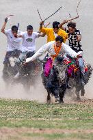 Lhasa Yak Racing - China