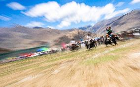 Lhasa Yak Racing - China