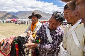 Lhasa Yak Racing - China