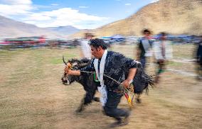 Lhasa Yak Racing - China