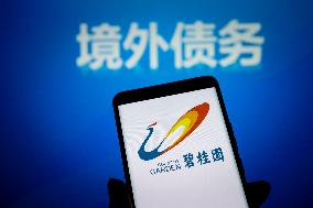 Illustration Country Garden