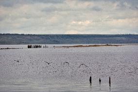 Kuialnyk Estuary