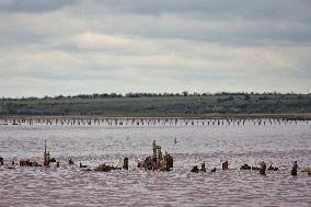 Kuialnyk Estuary