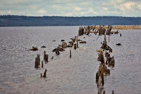 Kuialnyk Estuary