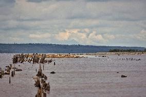 Kuialnyk Estuary