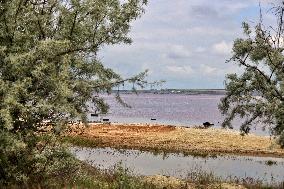 Kuialnyk Estuary