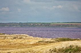 Kuialnyk Estuary