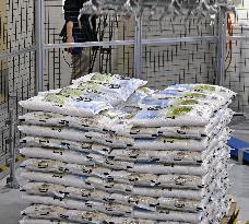 Government rice stockpile