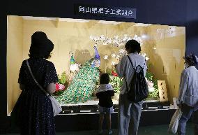CORRECTED: National Confectionary Expo begins in northern Japan