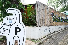 Dog Parking Spaces in Nanning