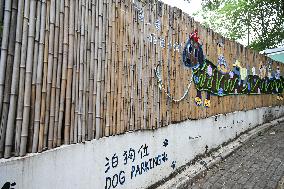 Dog Parking Spaces in Nanning