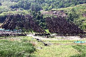 The hometown of Kelp in China