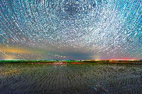 Starry Sky Over Rice Field - China