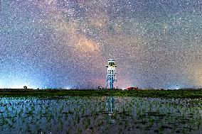Starry Sky Over Rice Field - China
