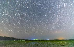 Starry Sky Over Rice Field - China