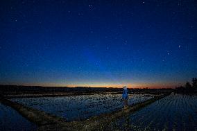 Starry Sky Over Rice Field - China