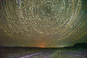 Starry Sky Over Rice Field - China
