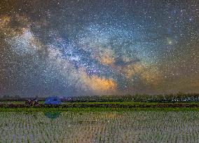 Starry Sky Over Rice Field - China