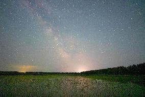 Starry Sky Over Rice Field - China