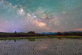 Starry Sky Over Rice Field - China