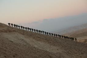 IDF Soldiers Training Hike - Israel
