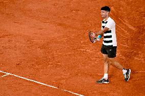 2025 French Open - Carlos Alcaraz v Damir Dzumhur  Day 6