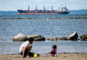 SWEDEN SHIP AGROUND