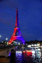 Eiffel Tower in the colors of Paris Saint-Germain - Paris