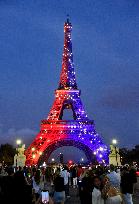 Eiffel Tower in the colors of Paris Saint-Germain - Paris