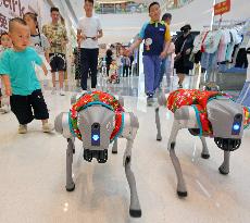 China Robot Industry
