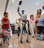 China Robot Industry