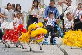 China Robot Industry
