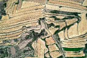 Loess Plateau Terraced Fields in Yuncheng