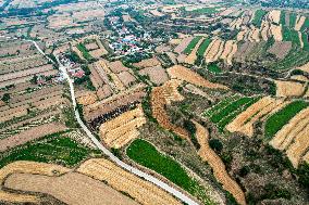 Loess Plateau Terraced Fields in Yuncheng
