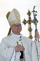 Pope Leo XIV Celebrates The Jubilee of Families - Vatican